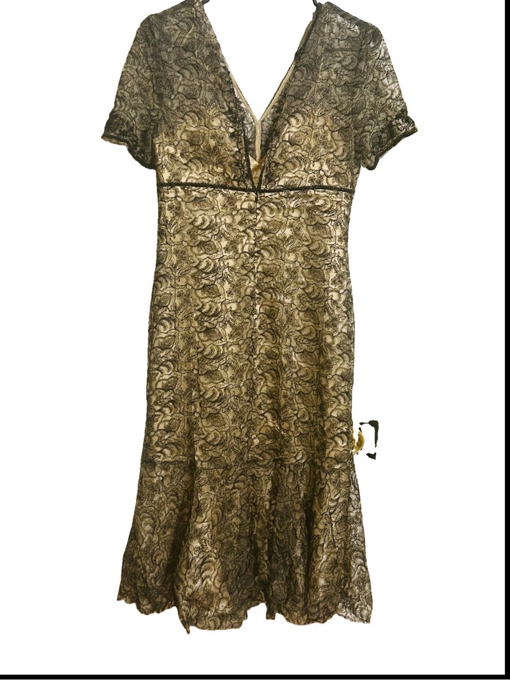 Bagley Mischka Elegant Black Lace V-Neck Women's Dress